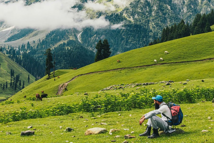 Jammu & Kashmir Self-Drive Tours