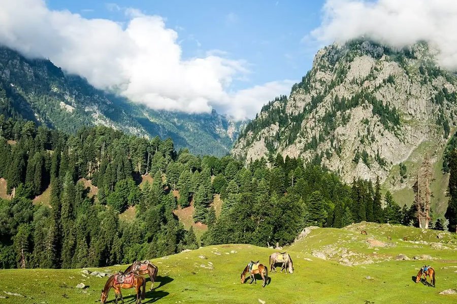 Jammu & Kashmir Self-Drive Tours