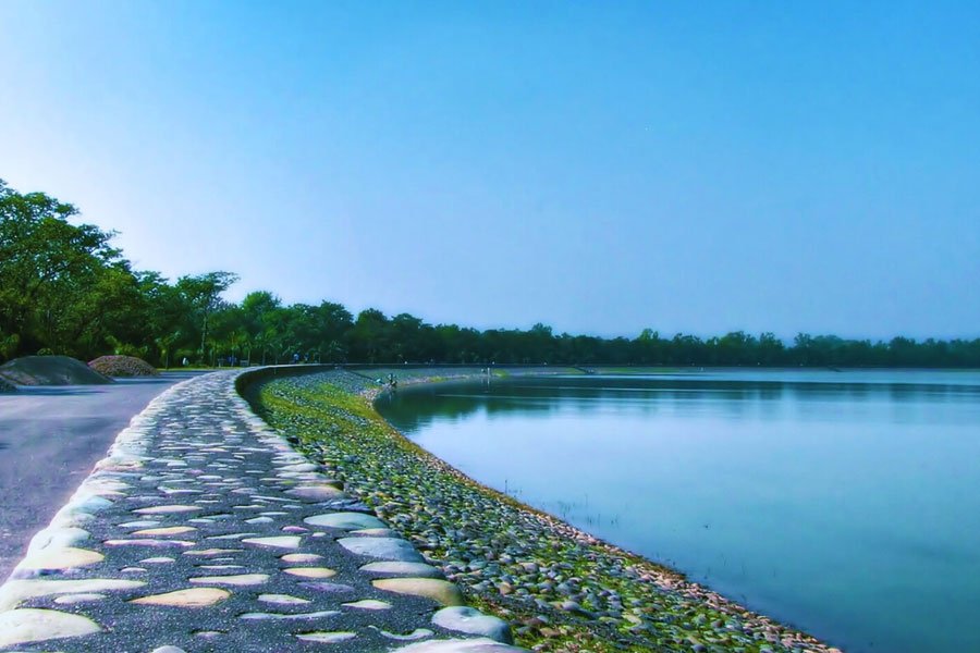 Self Drive Cars in Chandigarh
